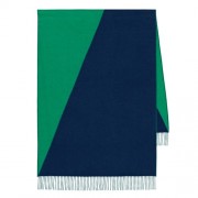 Top Quality Hermes Casaque Stole In Green And Black Cashmere HJ01341