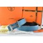 Replica Hermes Belt 2016 New Arrive - 736 RS03262
